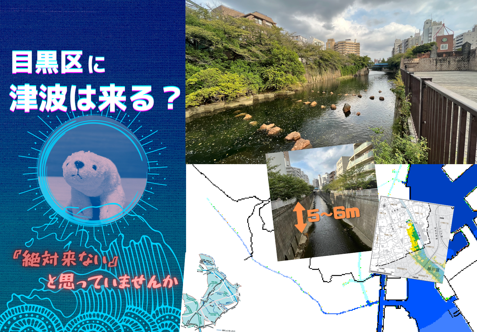 目黒区に津波は来る？ | かいでん和弘 -Official Web Site-