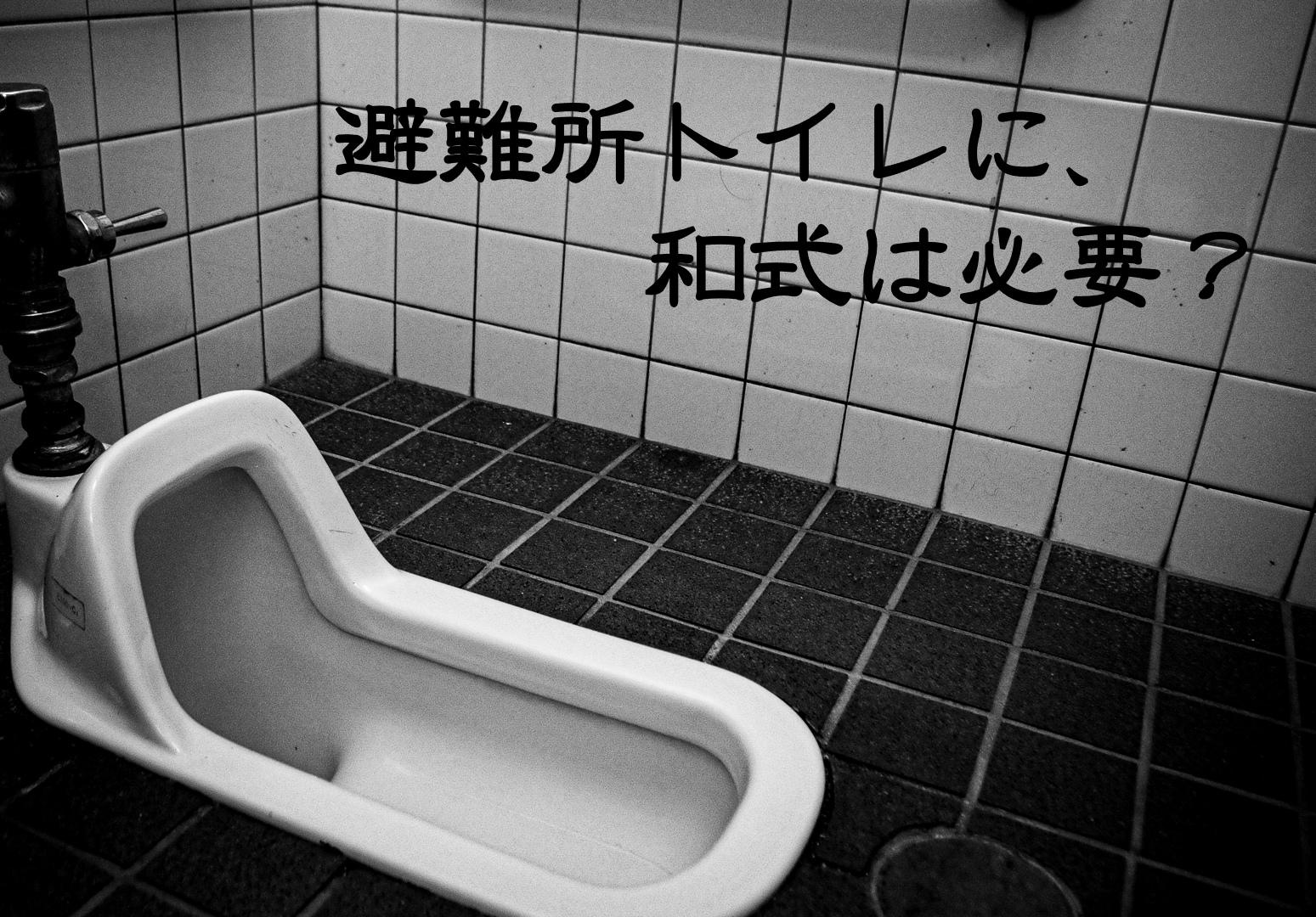 避難所トイレに、和式は必要？ | かいでん和弘 -Official Web Site-